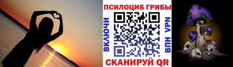 где найти наркотики  Вязники  Галлюциногенные грибы ЛСД 